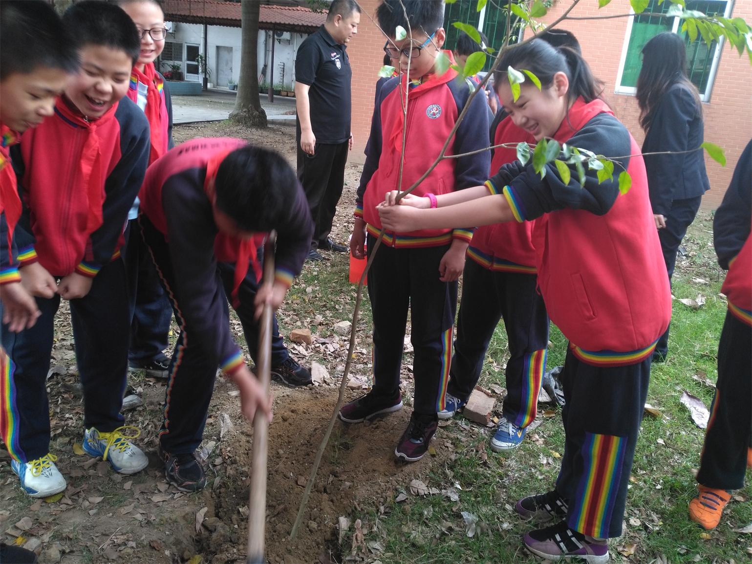 石碣:新民学校开展爱绿护绿植树节活动